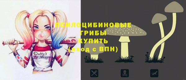 сатива Абаза