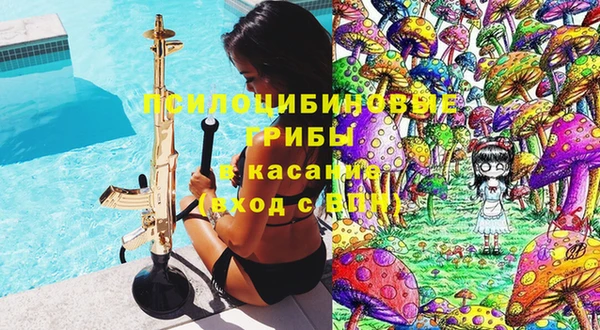 сатива Абаза