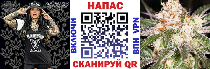 МАРИХУАНА план  Сусуман 